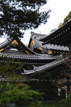 Detail Japanse tempel van Erik de Witte
