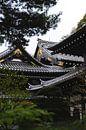 Detail Japanse tempel van Erik de Witte thumbnail