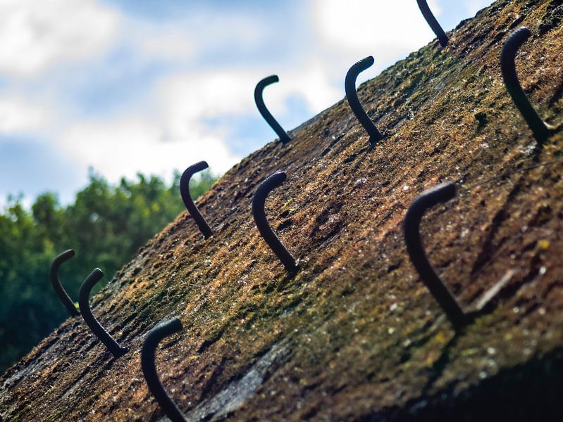 Ein Bunker in Bunnik von Mr White Takes Pictures