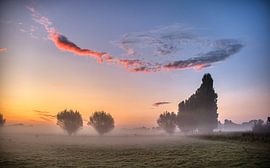 Niedriger Nebel über den Feldern.