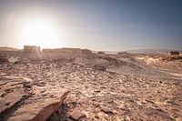Nawamis dans le désert du Sinaï en contre-jour