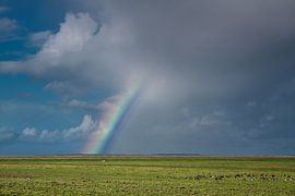 Regenbogen über Het Noorderleeg und Ameland