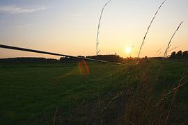 Goldener Faden - sonnenbeschienene Wiese im Abendlicht von Masterpiece Living