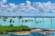 Paradise Bacalar Mexico by PixelPower thumbnail