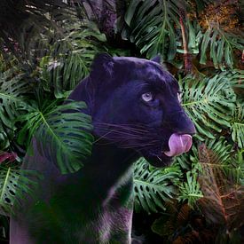 Black panther in the jungle by Tonny Verhulst