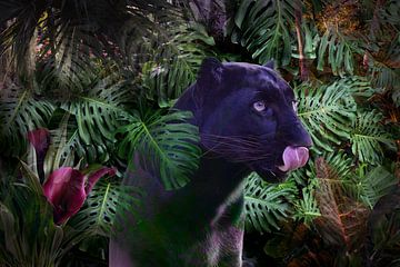 Panthère noire dans la jungle