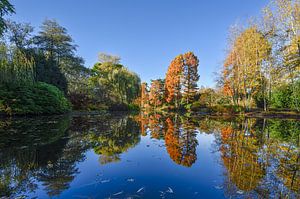 Autumn in Amstelveen