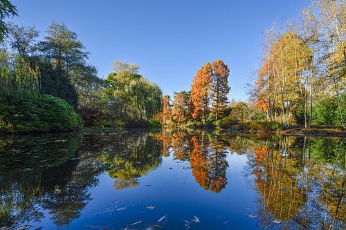 Autumn in Amstelveen