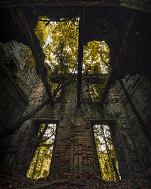 Where nature reclaims the castle 1