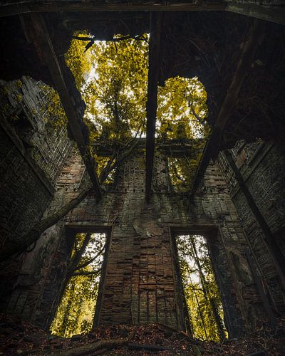 Where nature reclaims the castle 1
