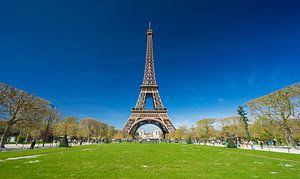 Paris Tour Eiffel  sur davis davis