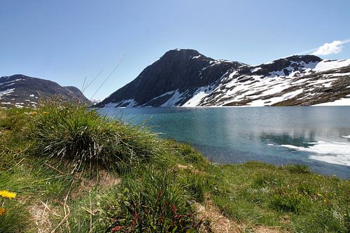 Noorwegen Djupvatnet meer boven Geiranger