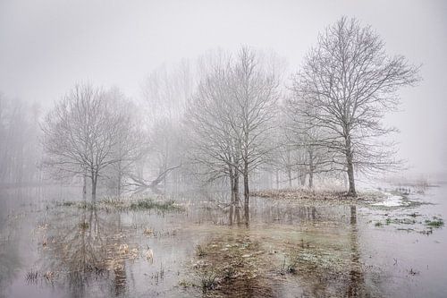 In the grip of the haze