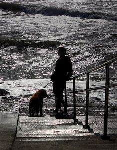 Mann und Hund bei das Meer von MSP Canvas