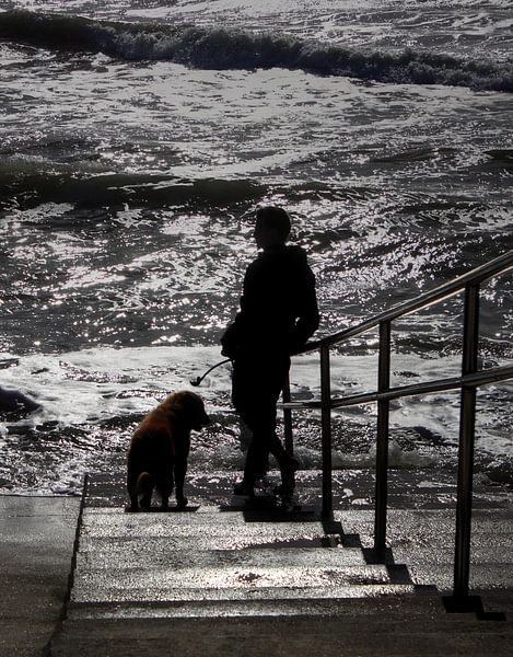 Man en hond bij zee van MSP Canvas