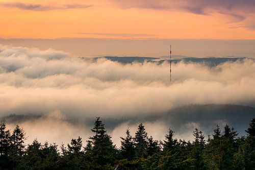 View to the Torfhaus