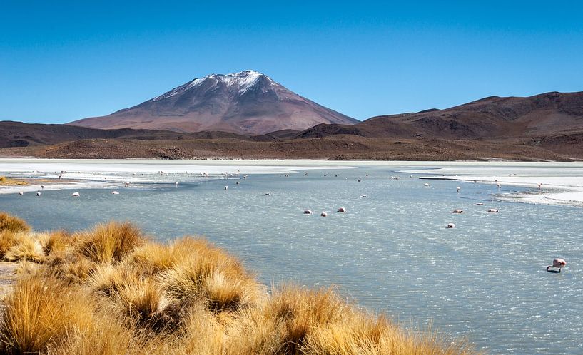 Lagoon lake in Bolivia by Alex Neumayer