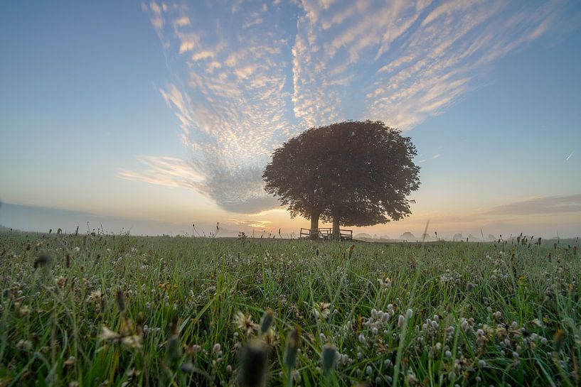 Dreaming of nature by Dirk van Egmond