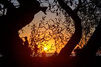 Zonsondergang in Colonia del Sacramento, Uruguay