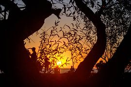 Zonsondergang in Colonia del Sacramento, Uruguay van Geert Smet