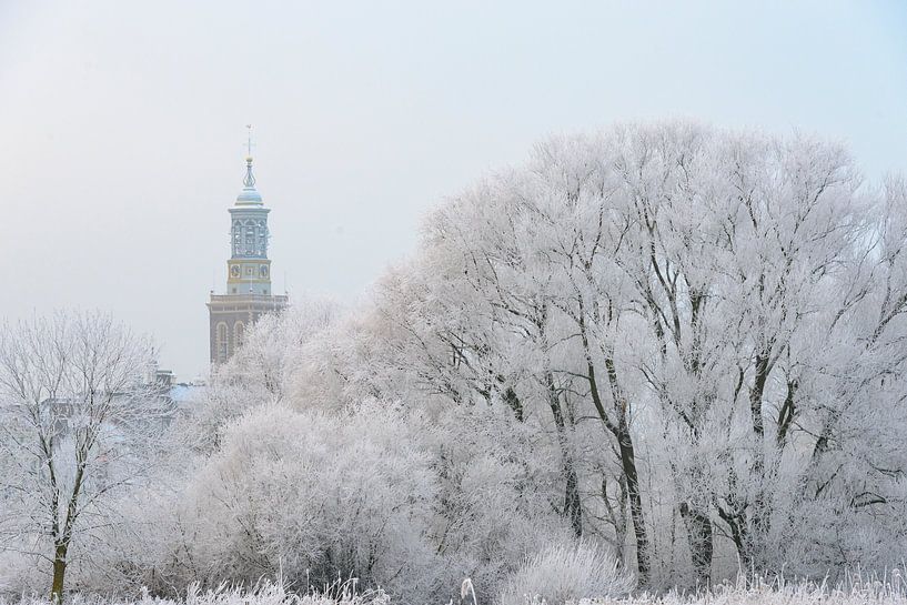 efrorene Bäume mit dem Nieuwe Toren (neuer Aufsatz) in Kampen von Sjoerd van der Wal Fotografie