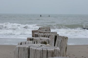 Posts in the sand by Spijks PhotoGraphics