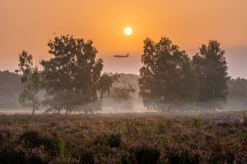 Wahner Heide, North Rhine-Westphalia, Germany by Alexander Ludwig