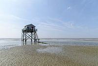 vogelwachtershut Engelsmanplaat