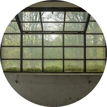 Groot raam van Martijn Tilroe