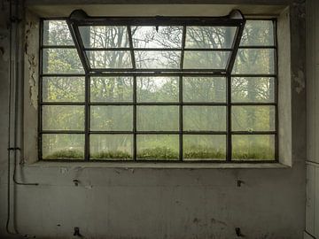 Groot raam van Martijn Tilroe