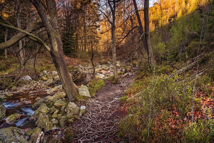 Bergrivier La Hoëgne in de Belgische Ardennen van Rob Boon