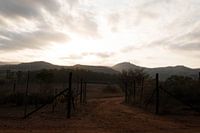 Zonsondergang in Mlilwane Wildlife Sanctuary Swaziland