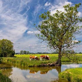 Een Hollands zomer landschap van Bram van Broekhoven