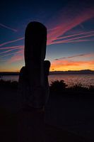 Le réveil du soleil