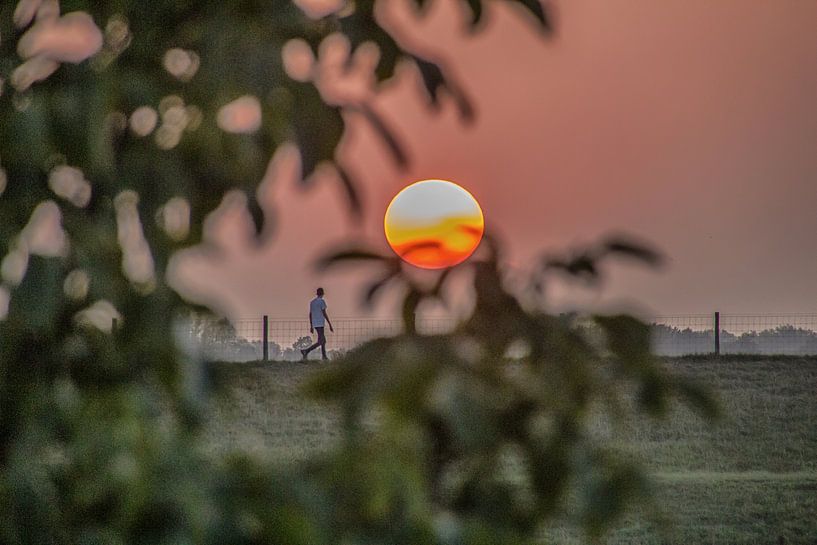 Setting sun on a summer evening by Karlo Bolder