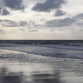Strand sur Hans van Otterloo