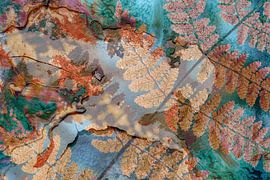 after summer comes autumn