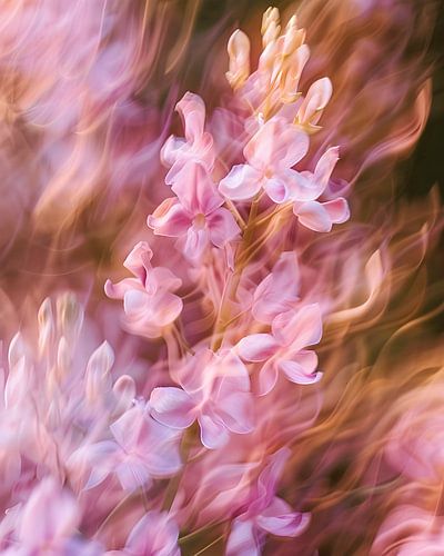 Verträumte rosa Blumen