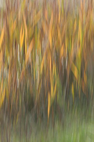 Vier Jahreszeiten: Herbst