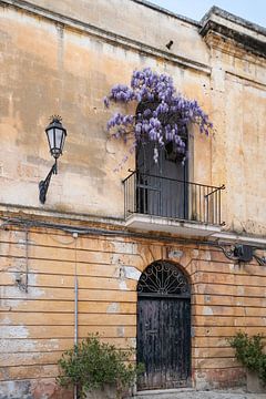 Romance sur le mur... sur Maja Mars