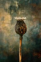 The Crown of the Past, echo of time