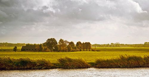 Muiden Amsterdam The Netherlands traditional Dutch rural landscape with cows, sheep, canals and sky.