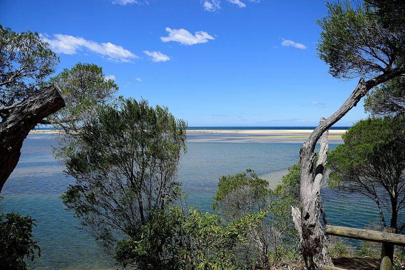 Beautiful to look at by Frank's Awesome Travels