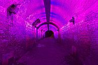 Tunnel illuminé d'Utrecht par Anton de Zeeuw Aperçu