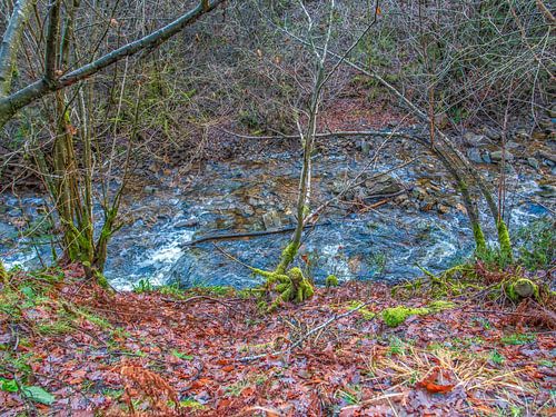 Flowing river du Bayehon. Superb nature