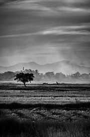 Paysage de campagne en noir et blanc sur Frank Photos
