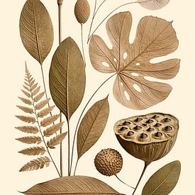 Botanical Earth Symphony by Max Steinwald