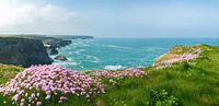 Cornish coast by Silvio Schoisswohl thumbnail