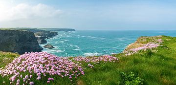 Cornwalls Küste von Silvio Schoisswohl