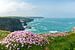 Cornwalls Küste von Silvio Schoisswohl